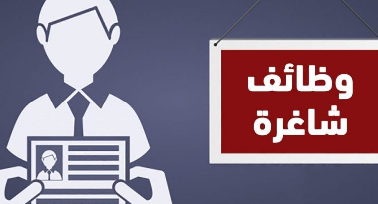 مطلوب فتيات للعمل في التسويق المنزلي